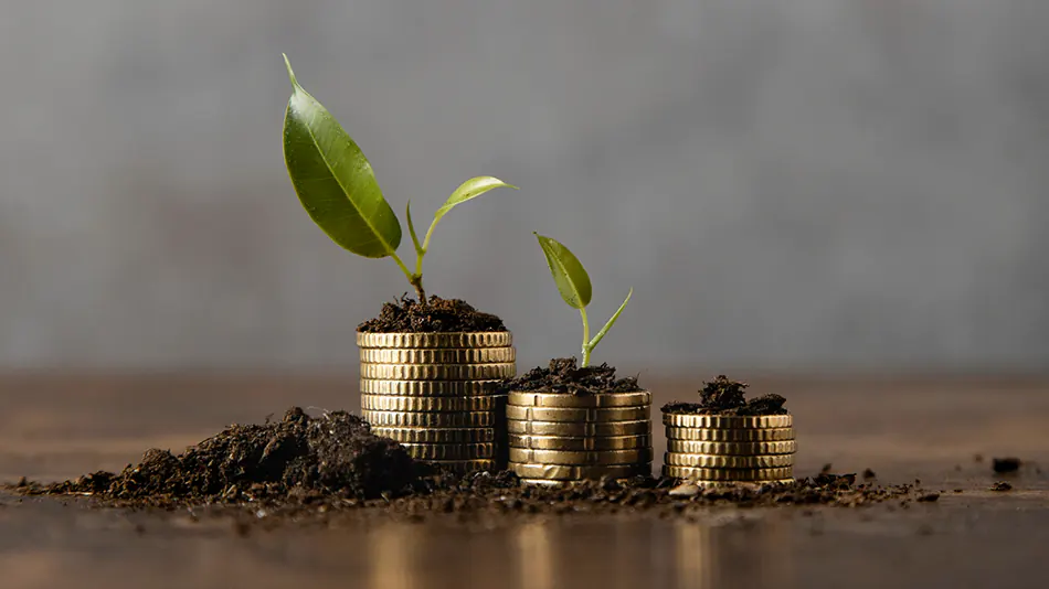 Why Long-Term Wealth Management Requires SMSF Accountants